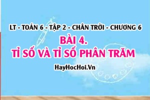 Tỉ số và tỉ số phần trăm của hai đại lượng? Toán 6 chân trời Tập 2 chương 6 Bài 4